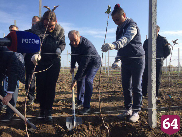 Радаев принял участие в посадке яблоневого сада