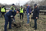 В Саратове губернатор посадил березы на Кумысной поляне