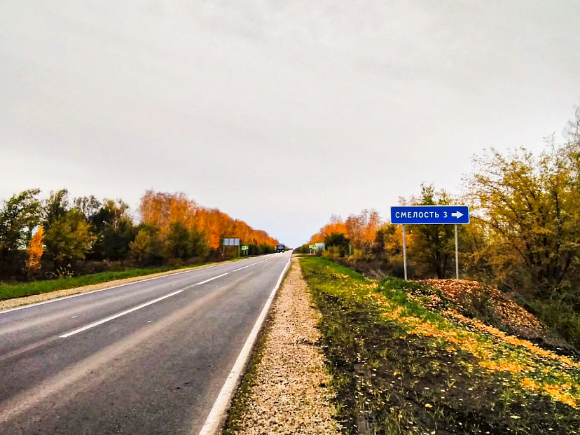Дорожники нашли в Саратовской области Смелость