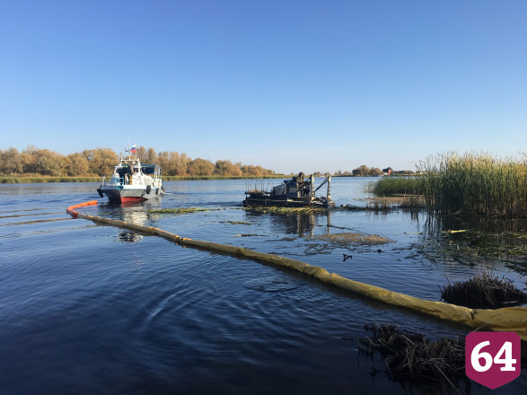 Волгу расчистили от водорослей и выпустили 21 тысячу мальков 