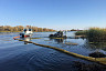 Волгу расчистили от водорослей и выпустили 21 тысячу мальков 