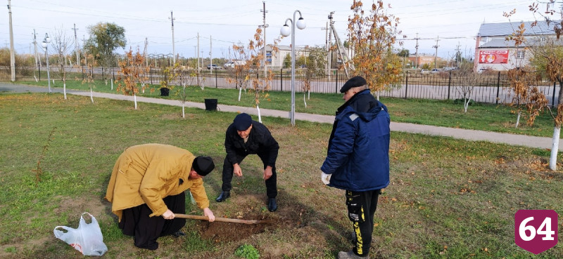 Священник создал у храма лесопитомник и раздает по Заволжью дубы