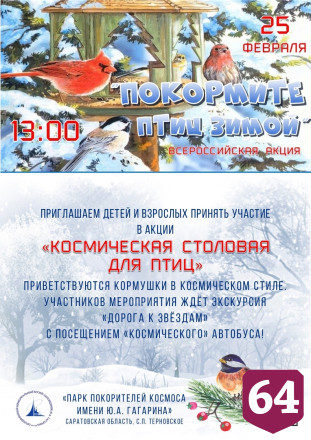 Саратовцев позвали сделать «космические» кормушки для птиц