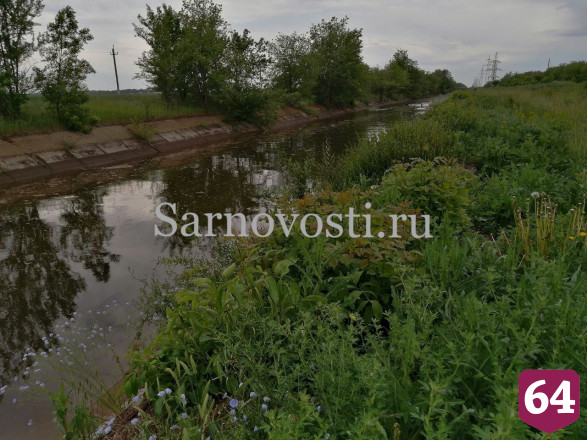 Саратовские спасатели вытащили из оросительного канала семью лосей