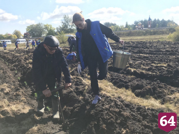 Под Саратовом высадили 2000 сеянцев сосны
