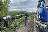 У национального парка под Саратовом произошел разлив нефти