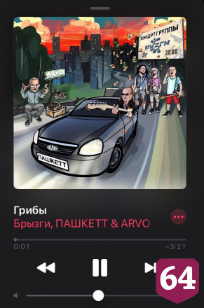 Саратовский композитор штурмует хит-парады с песней «Грибы»
