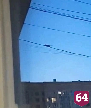 Жителей Саратовской области удивила крыса-эквилибрист