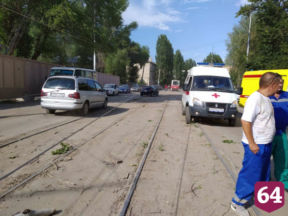 В Саратове рухнувшее дерево раздавило иномарку с водителем