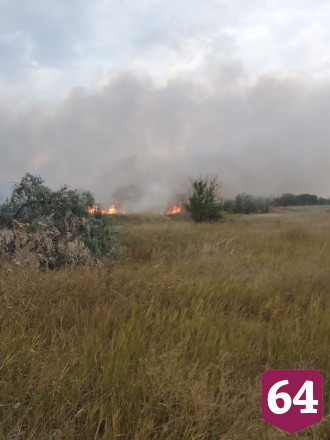 Под Саратовом едва не сгорел уникальный реликтовый лес