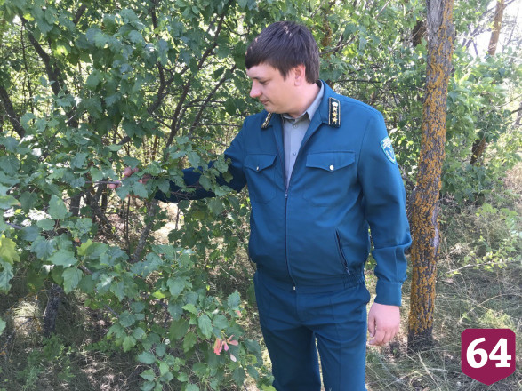 В саратовском лесу из-за выхлопной трубы сгорел автомобиль