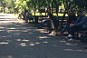 Саратовцы после открытия парков массово вышли на прогулки 