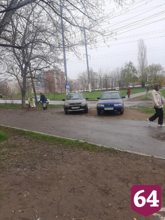 Автоинспекцию попросили провести рейд по автохамам на газонах в Саратове