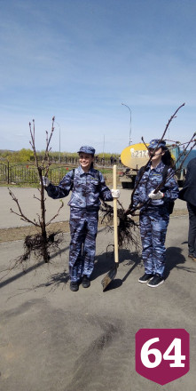 Участники акции «Сад памяти» высадили в Энгельсе 200 деревьев 