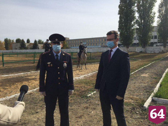 Для полиции Саратова купили 5 лошадей 