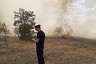 Под Саратовом полыхают заброшенные сады