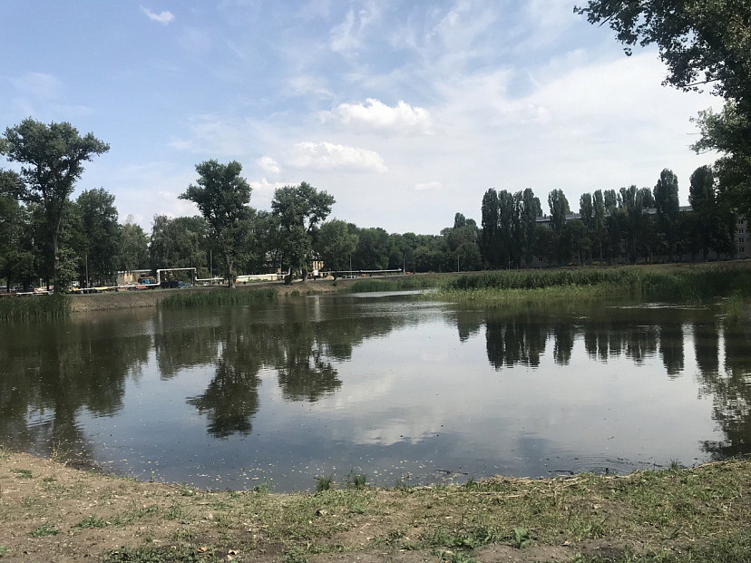 Под Саратовом чиновник устроил масштабный покос на берегу пруда