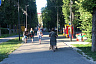 Жители Саратова вышли на воскресную прогулку без масок