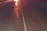 На саратовской трассе автомобиль насмерть сбил лосиху
