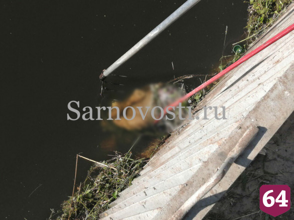 Под Саратовом к шлюзу оросительного канала прибило труп мужчины