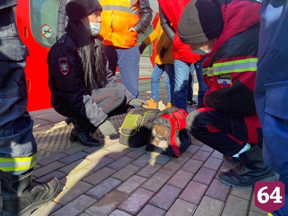 Беженцы из Донбасса приехали в Саратов вместе с собаками