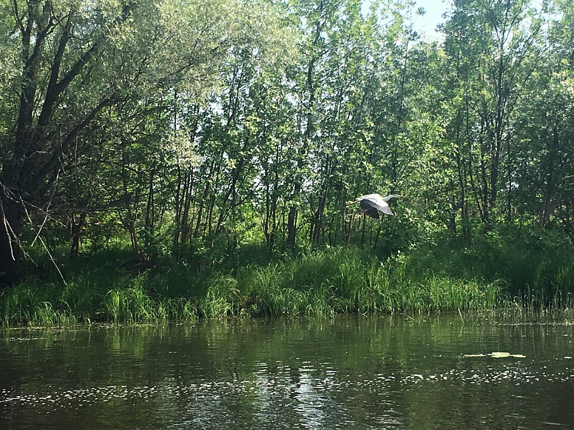 В Саратовской области завершается осенняя закачка воды