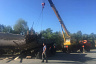 Под Саратовом водитель цементовоза протаранил грузовик с лесом и выжил