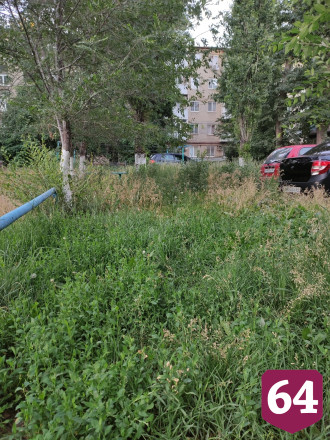 В Энгельсе детская площадка «утонула» в бурьяне
