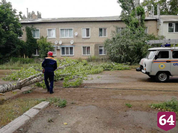 В Саратовской области ураган повалил 132 дерева
