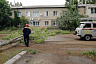 В Саратовской области ураган повалил 132 дерева