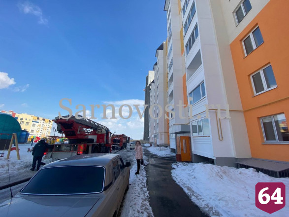 Саратовские спасатели реанимировали пострадавшую при пожаре кошку 