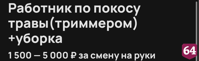 В Саратове трудолюбивому косарю готовы платить 5 тысяч за смену