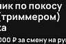 В Саратове трудолюбивому косарю готовы платить 5 тысяч за смену