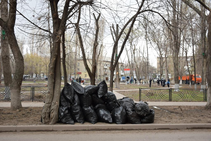 Саратовский регоператор вывез 17500 кубометров веток и листвы 