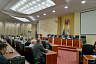 Саратовские дольщики рассказали о выросшем на месте их дома дереве 