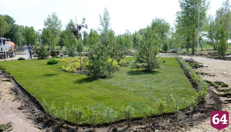 Балаковская АЭС в новом городском ландшафтном парке высадит 4000 деревьев и кустарников 