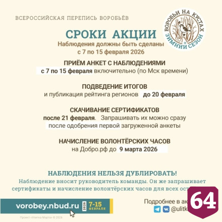 Саратовцы посчитают воробьев в рамках всероссийской переписи
