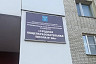 В Саратове родители первоклассников опасаются собак на крыльце школы