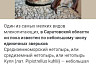 Нетопыря из Саратова отправят зимовать в Москву