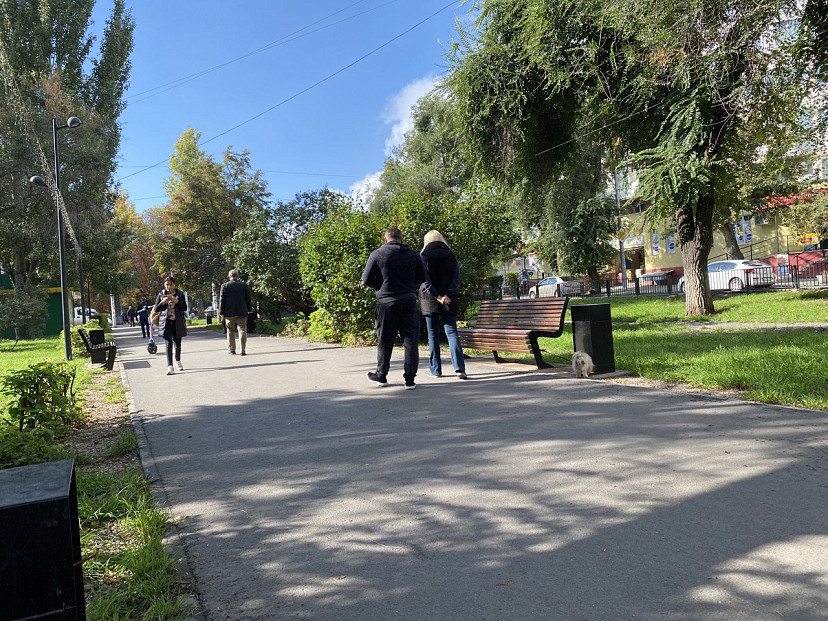 В Саратовской области ожидается 25 градусов тепла