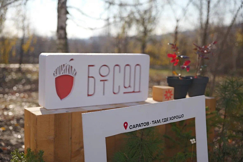 Ботанический сад в Саратове посетили 8000 человек