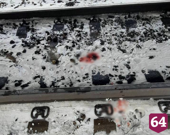 В Саратове женщина попала под поезд и выжила