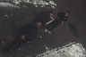В Саратове автоворы попали на камеру видеонаблюдения