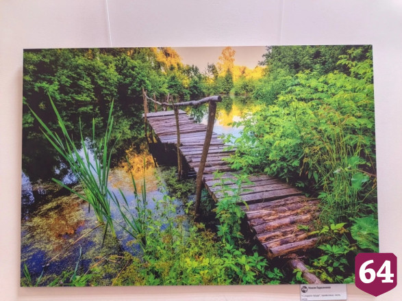 Саратовский фотограф запечатлел «диалог» человека с Волгой