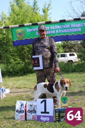 Русские борзые покорили зрителей на саратовской выставке собак