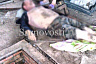 Под Саратовом отец и сын угорели в погребе с костром