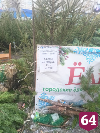 Саратовцы назвали базары с самыми дешевыми елками