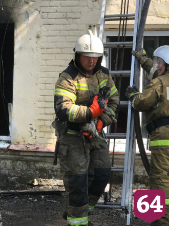 Под Саратовом пожарные отбили от огня коттедж чиновника