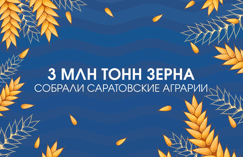 В Саратовской области собрали 3 миллиона тонн зерна