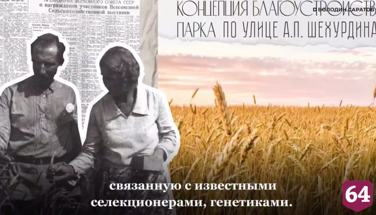 В Саратове до конца года появится новый парк на 12 гектаров